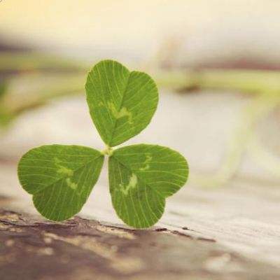 168极速赛车官网计划